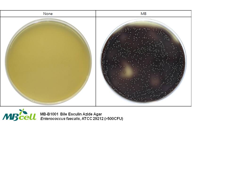 기산바이오 (주) [Bile Esculin Azide Agar]